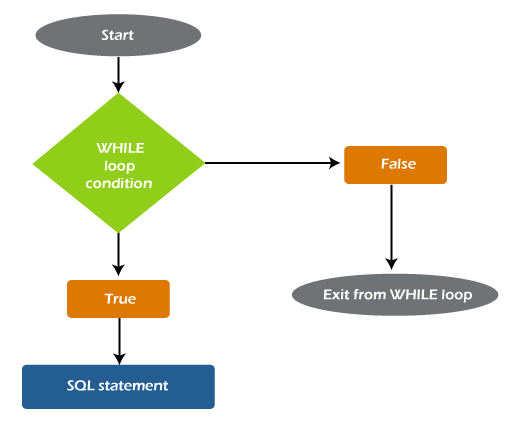 Exit value. While loop. Цикл while в SQL Server. While loop c. Серверная the Cycle.